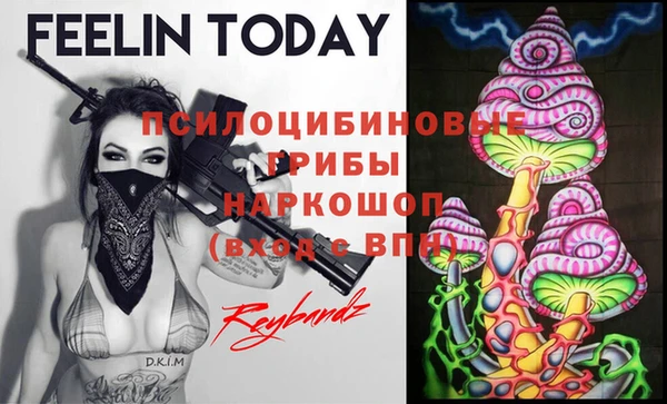 стаф Балабаново