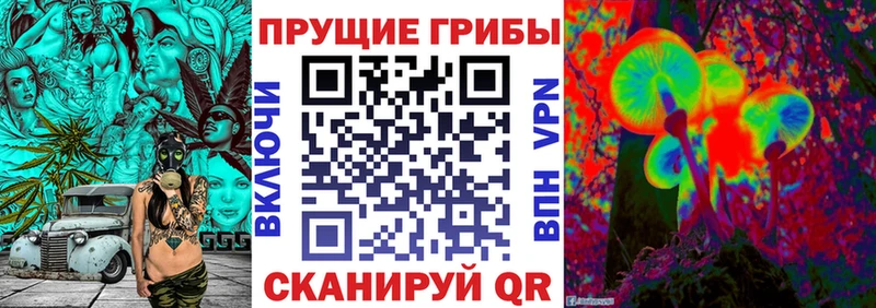 Галлюциногенные грибы MAGIC MUSHROOMS  купить наркотик  Ленинск 